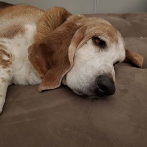 Meet your Posher, Vicki